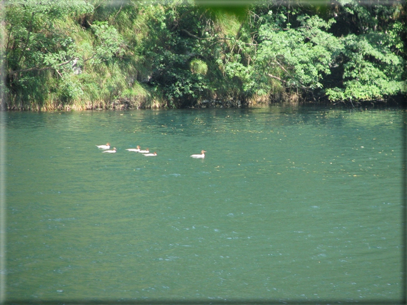 foto Lago del Corlo